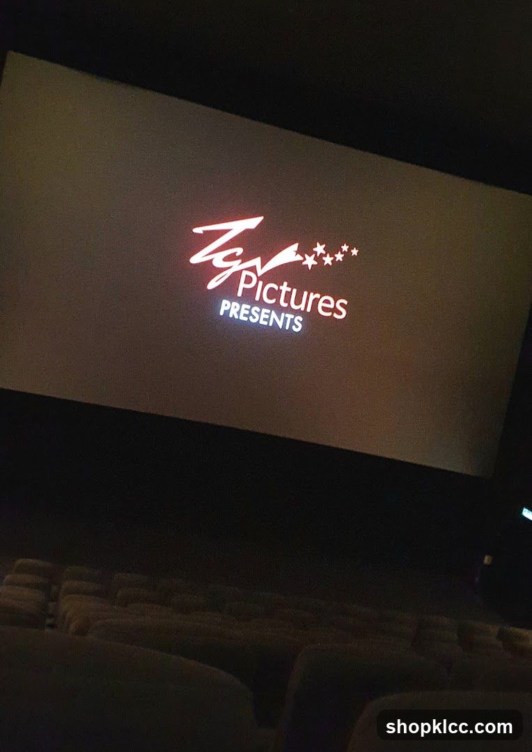 Movie Theater Screen