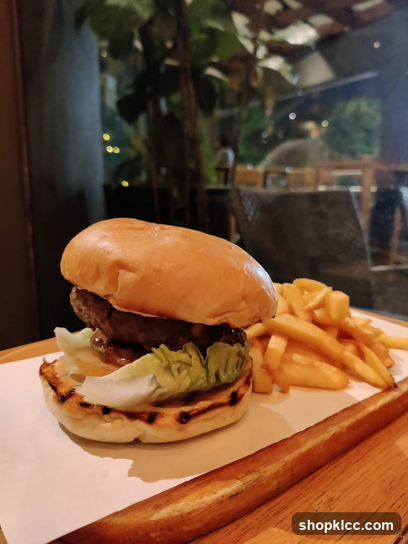 Burger and Fries