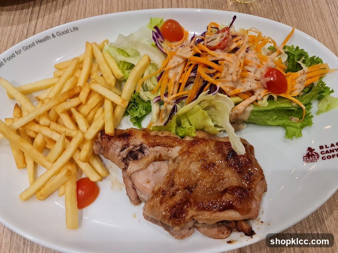 Grilled Chicken with Fries and Salad