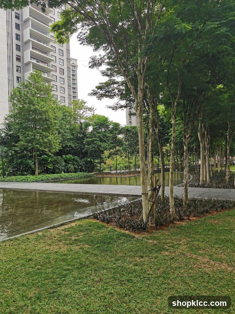 Modern Apartment Buildings and Reflecting Pool