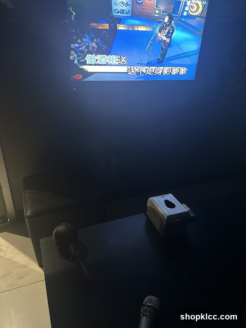 Karaoke Room