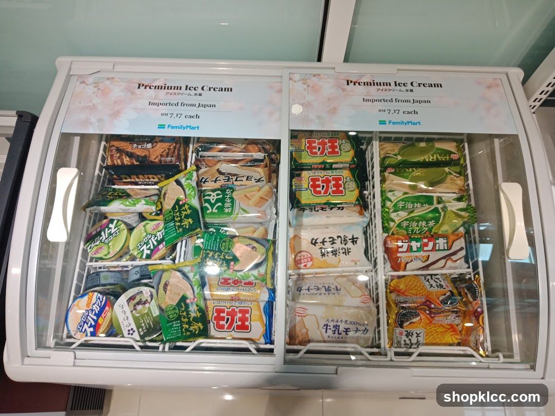 Premium Ice Cream Freezer