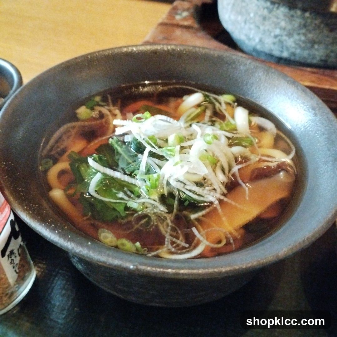 Udon Noodle Soup