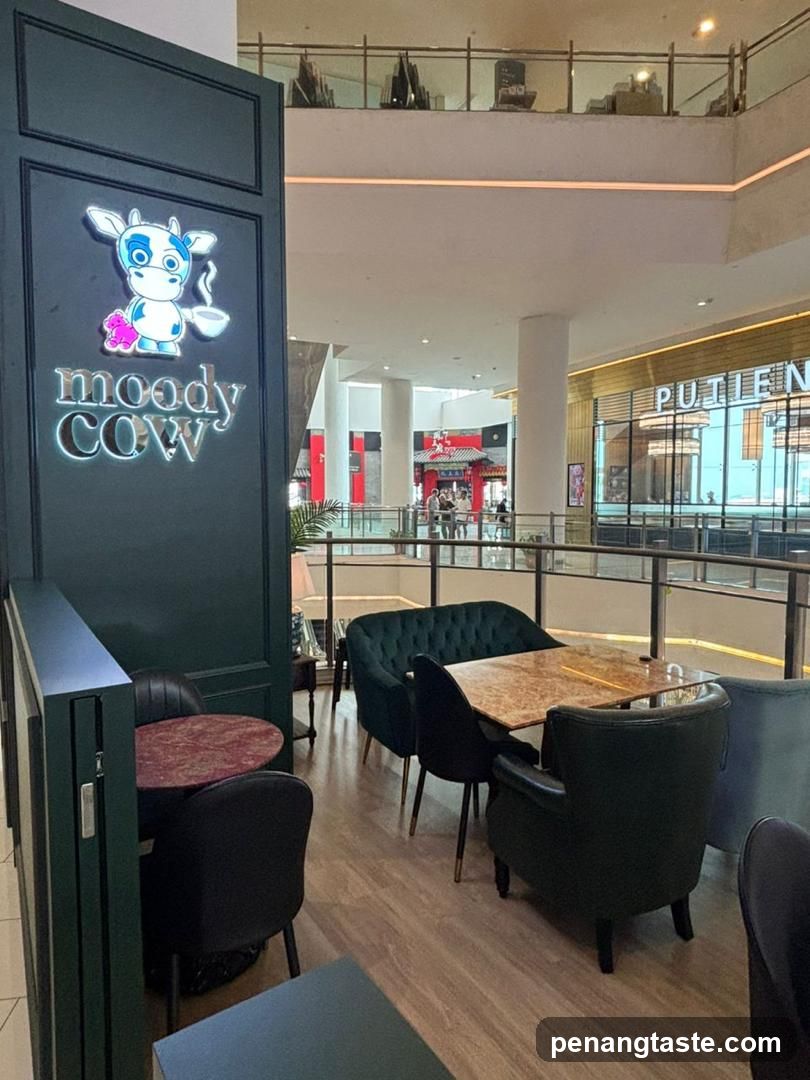 Moody Cow Cafe Interior