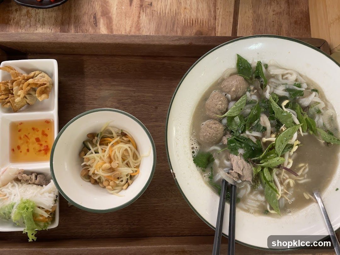 Vietnamese Noodle Soup and Appetizers