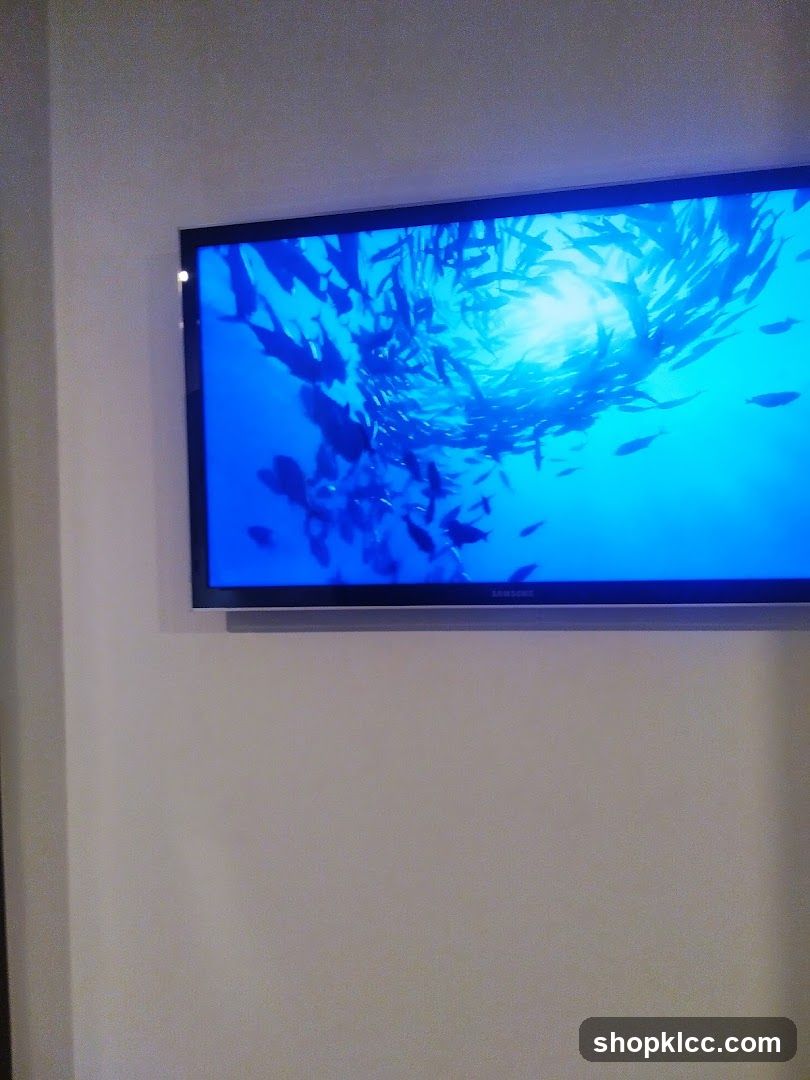 Television displaying school of fish