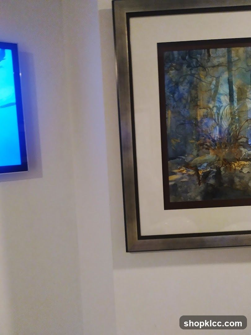Framed Artwork and Television