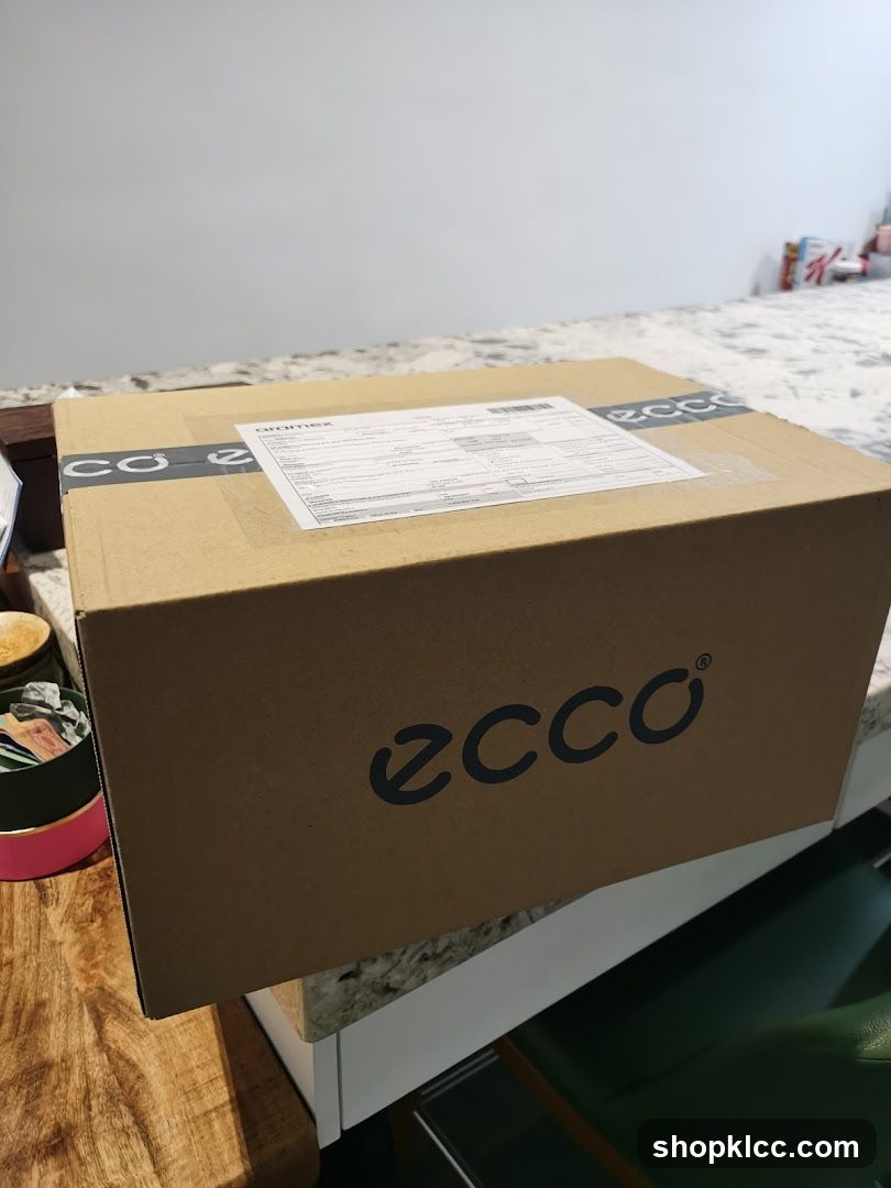 Ecco branded cardboard box