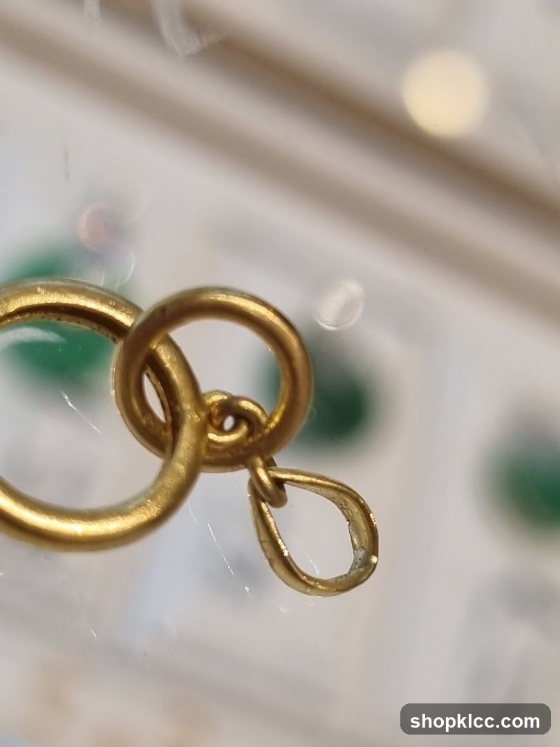 Gold Clasp Detail
