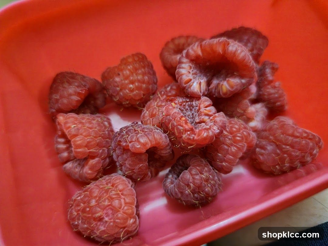 Raspberries in a Red Container