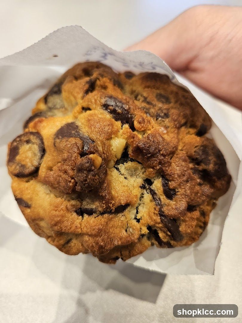 Chocolate Chip Cookie