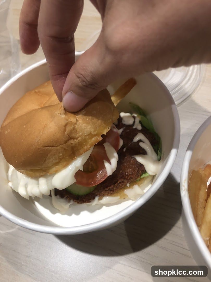 Burger and Fries
