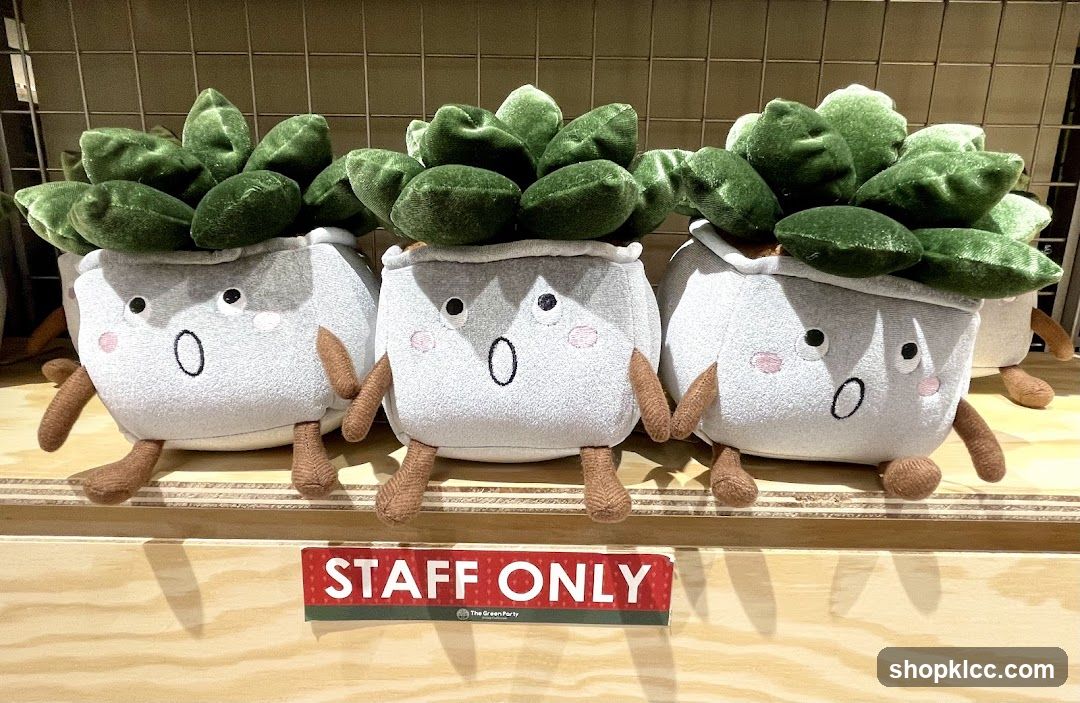 Plush Succulent Merchandise Display