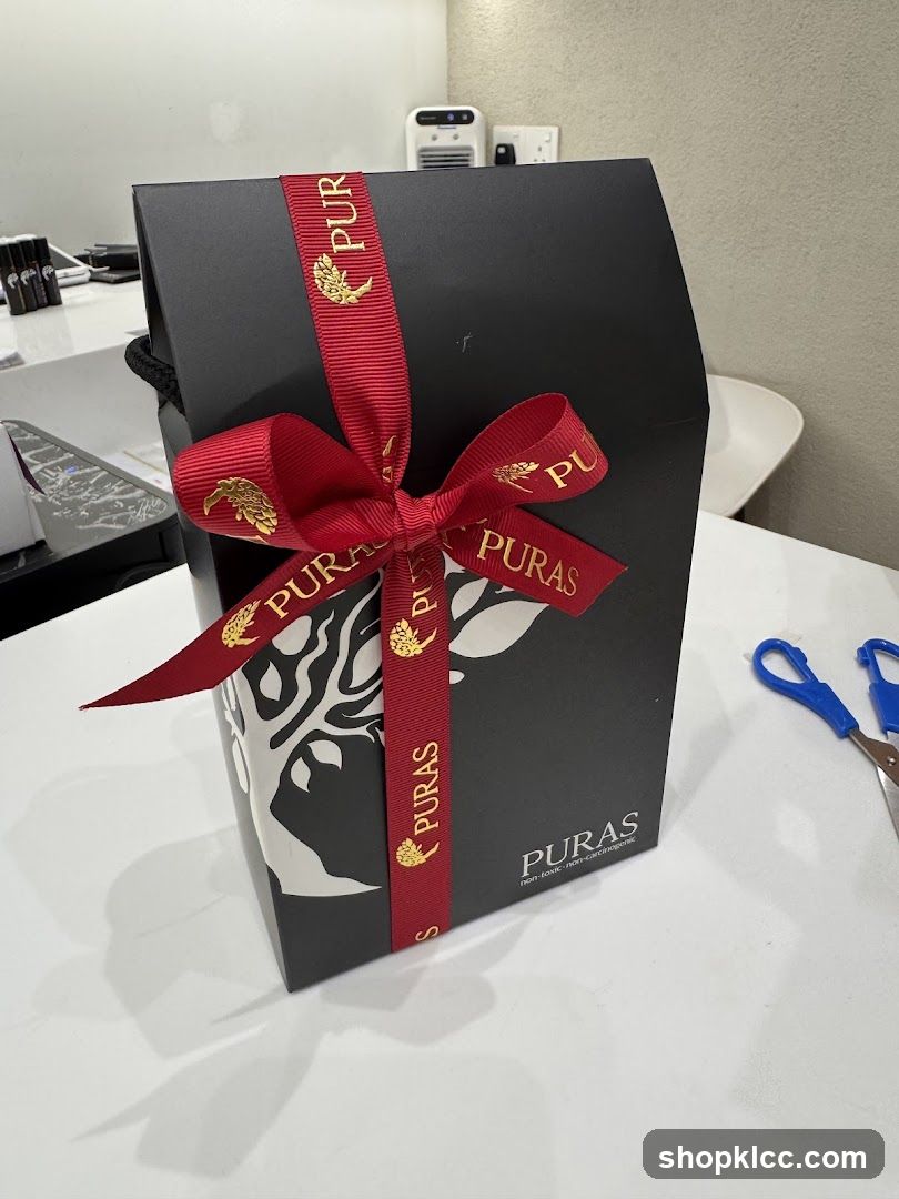 Gift Bag with Ribbon