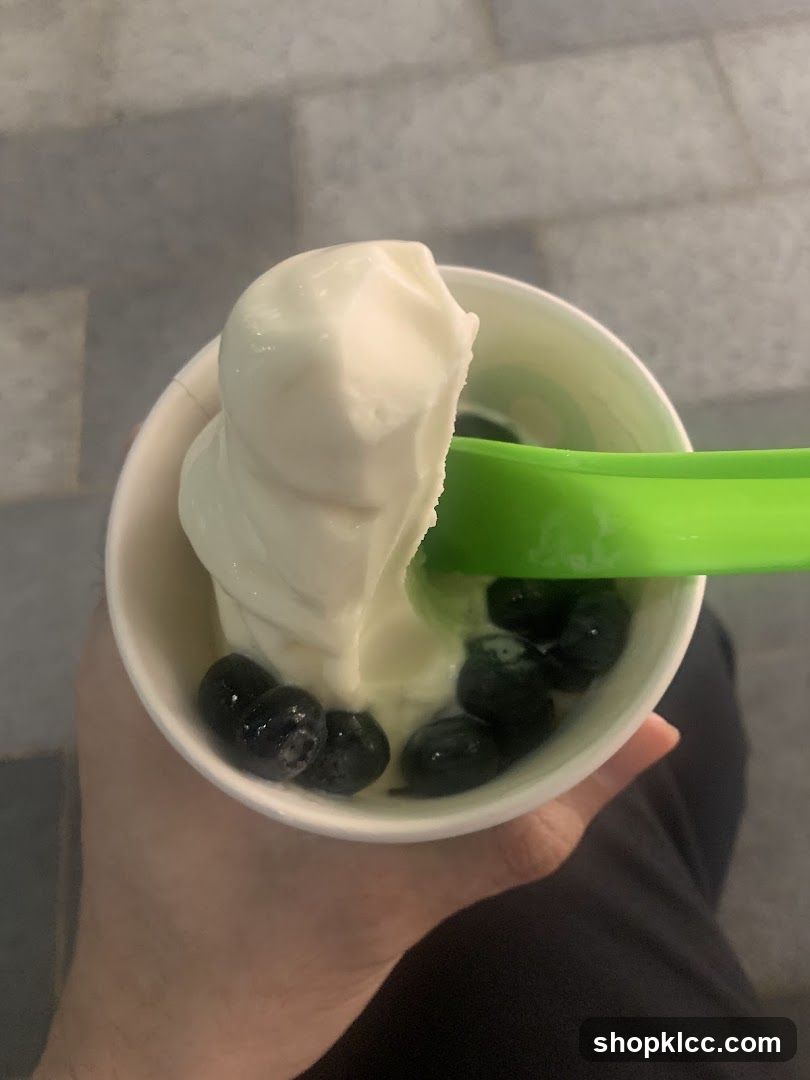 Frozen Yogurt with Blueberries