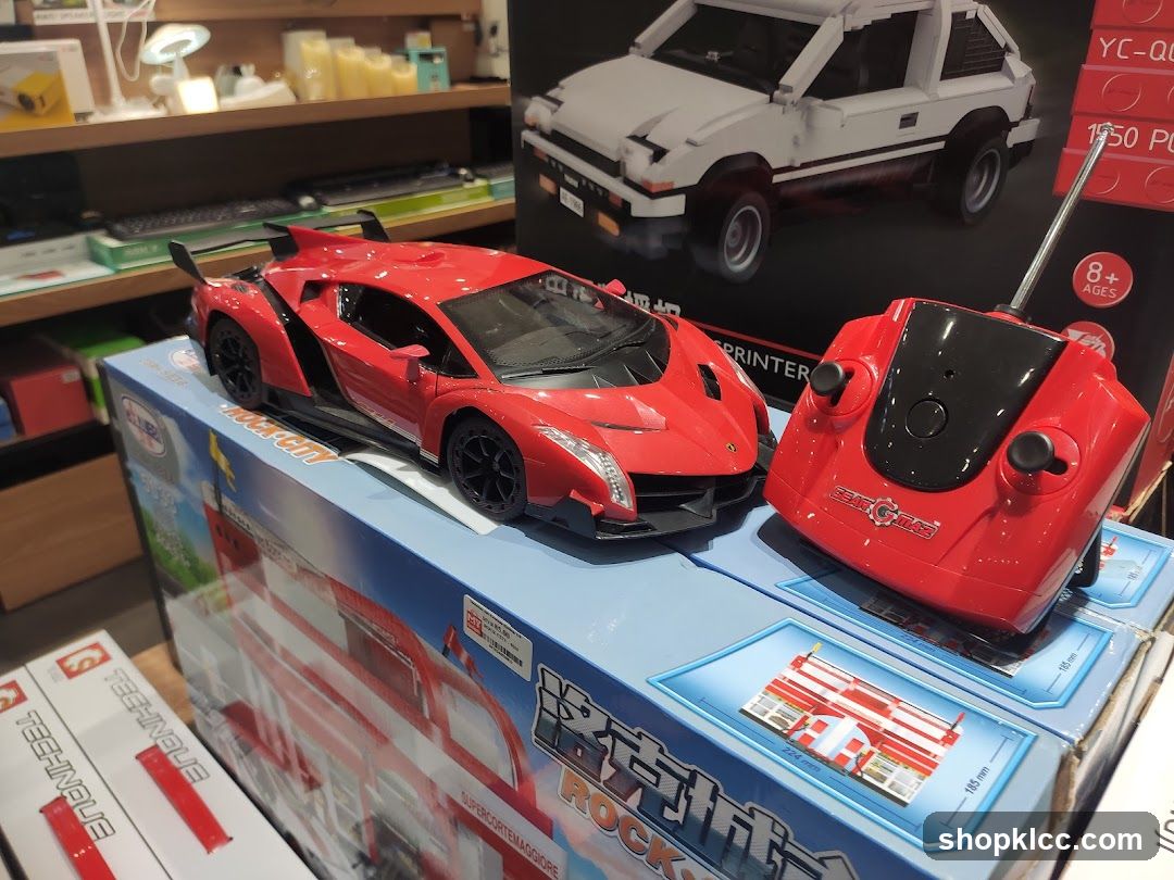 Remote Control Car and Building Blocks
