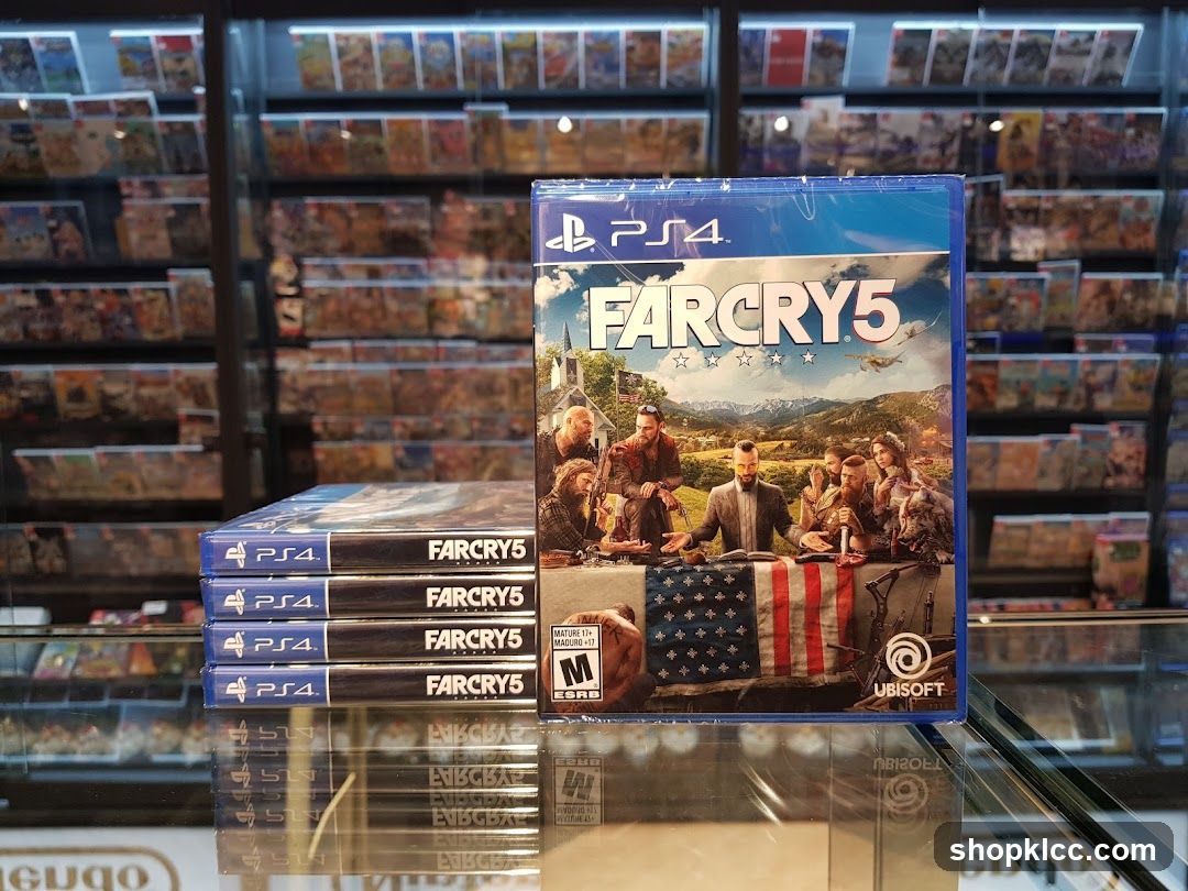 Far Cry 5 Video Game