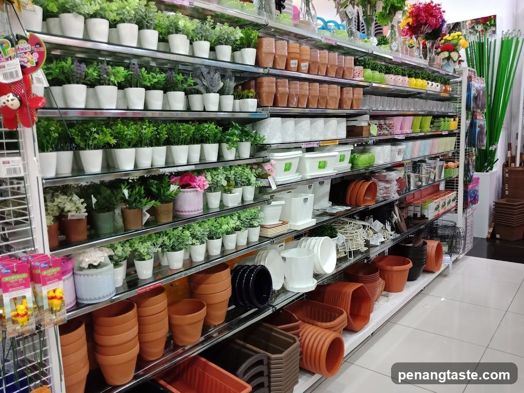 Shelves stocked with plants and pots