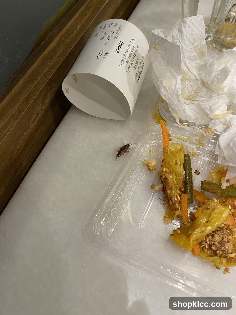 Eaten takeout food with cockroach