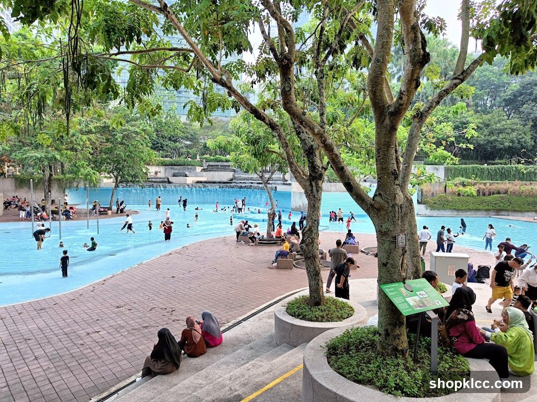 People enjoying a public swimming pool