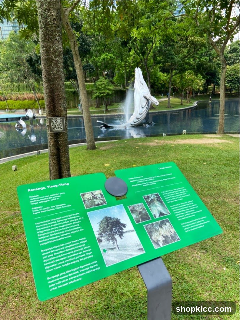 Informational Sign about Kenanga, Ylang-Ylang