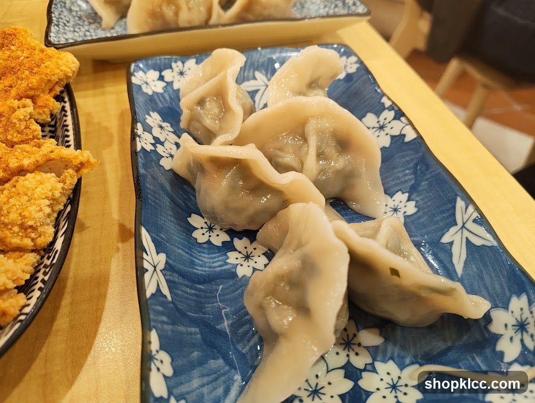Dumplings and Fried Food