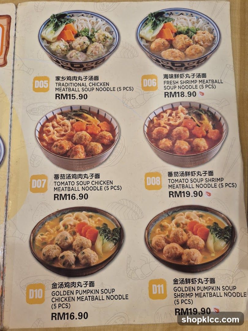 Meatball Soup Noodles