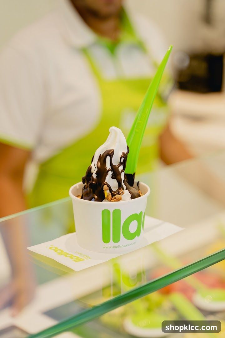 Frozen Yogurt with Chocolate Drizzle