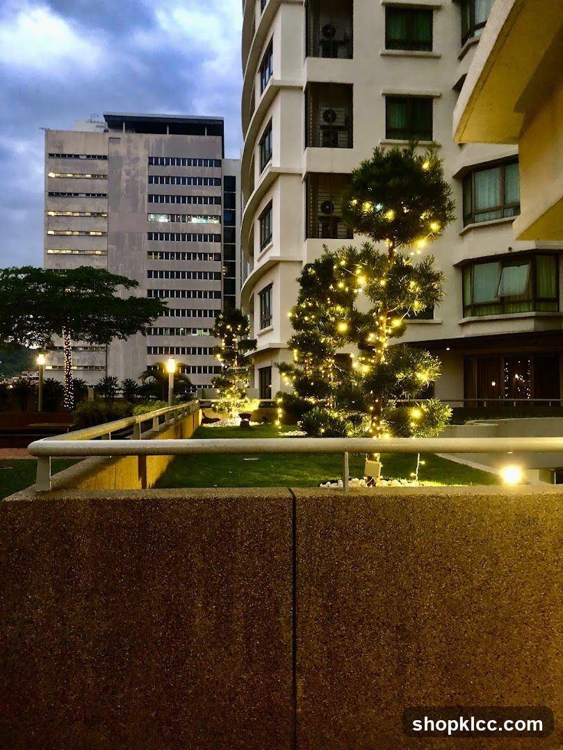 Decorated Trees Outside Building