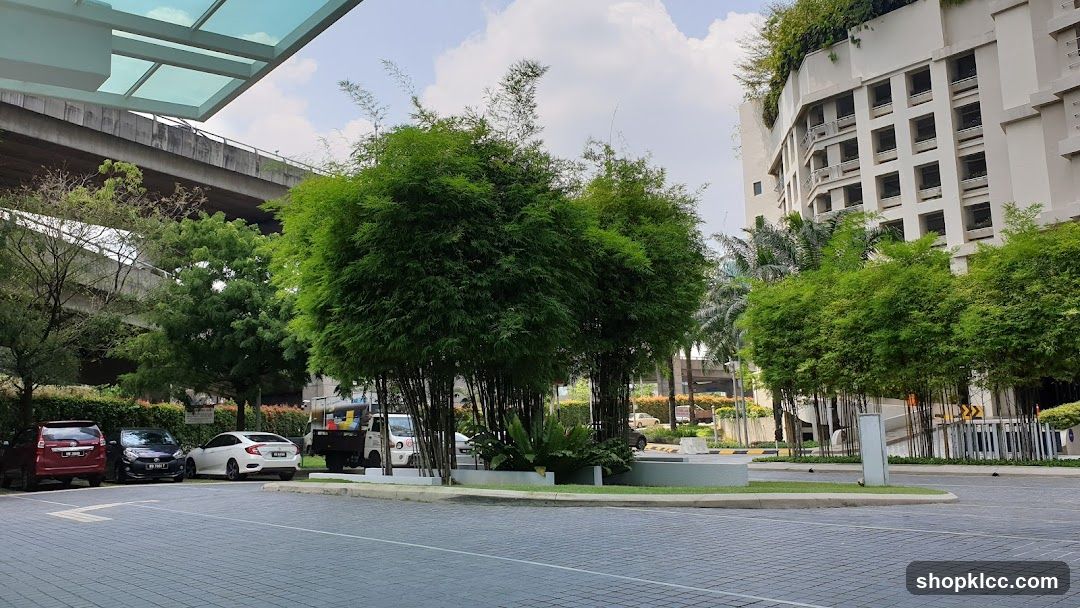 Urban landscape with bamboo and buildings