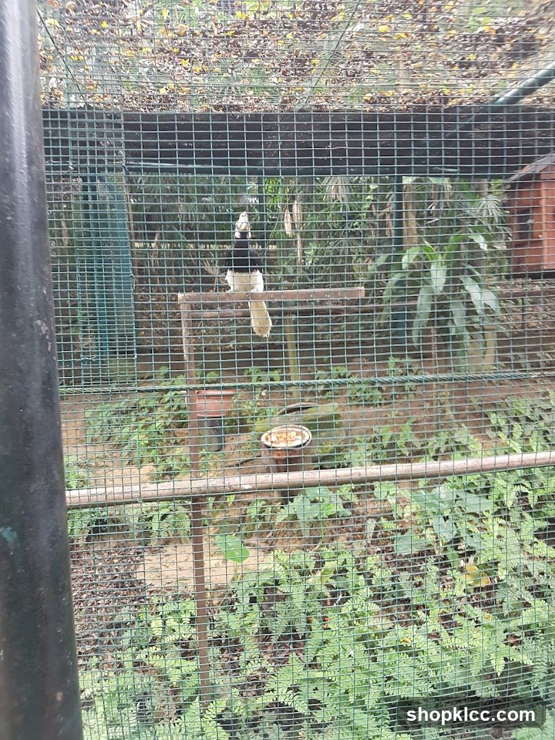 Bird in enclosure