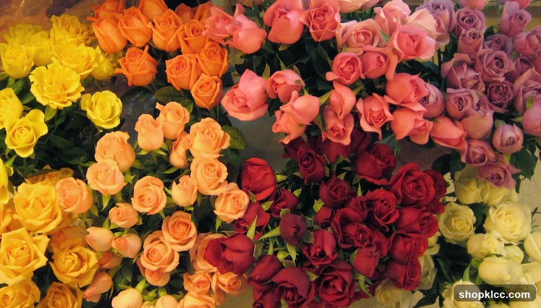 Assortment of Roses