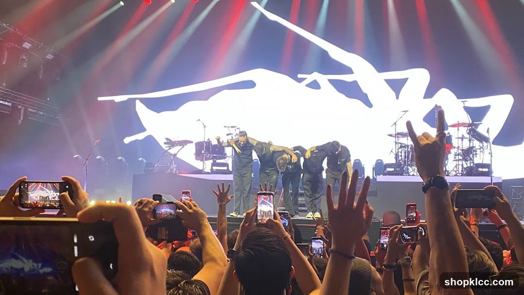 Live Concert Crowd