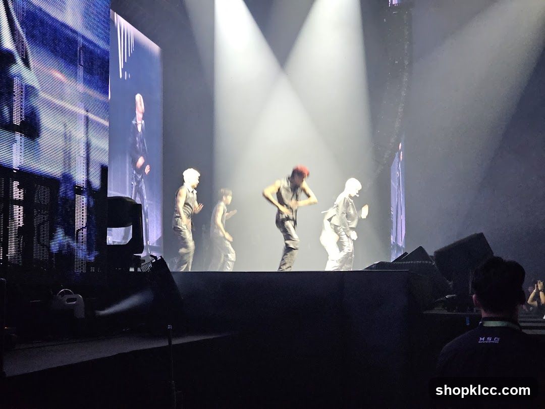 Concert Performance