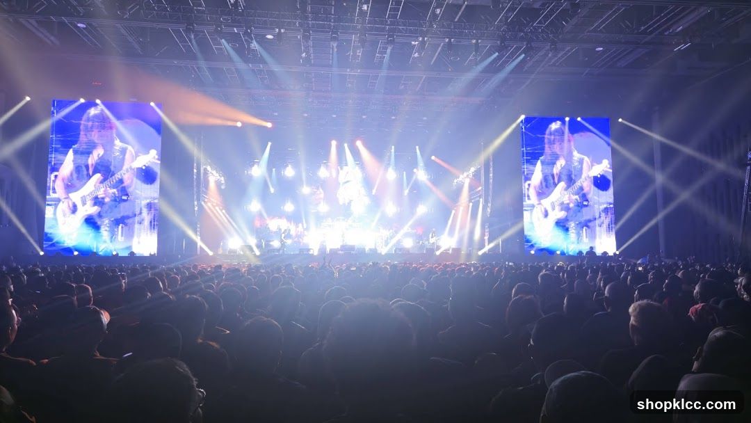 Live Concert Performance