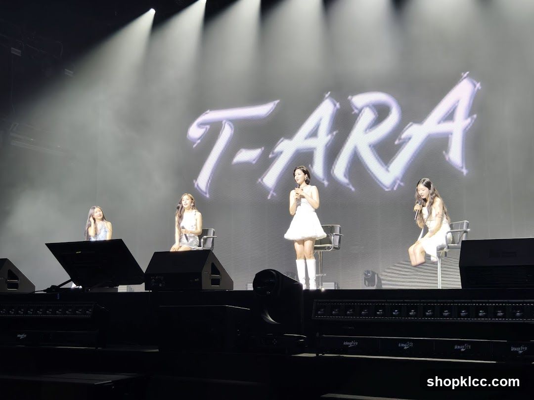 T-ARA Concert Stage