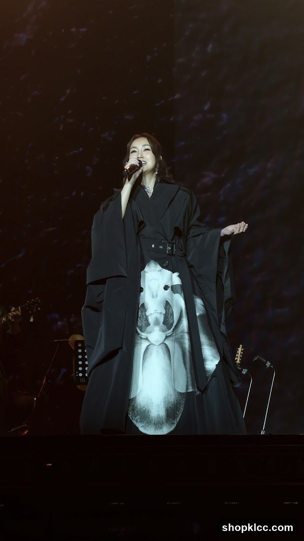Singer on Stage Performance