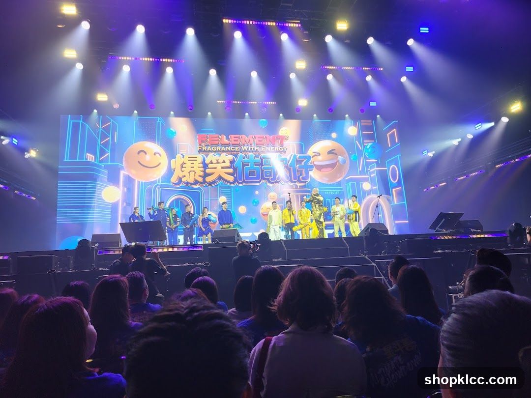 Stage Performance with Crowd