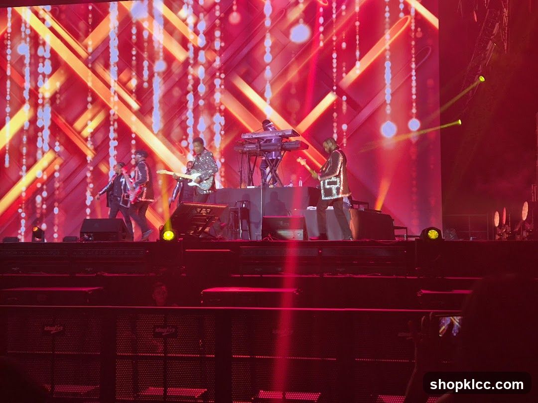 Live Concert Performance