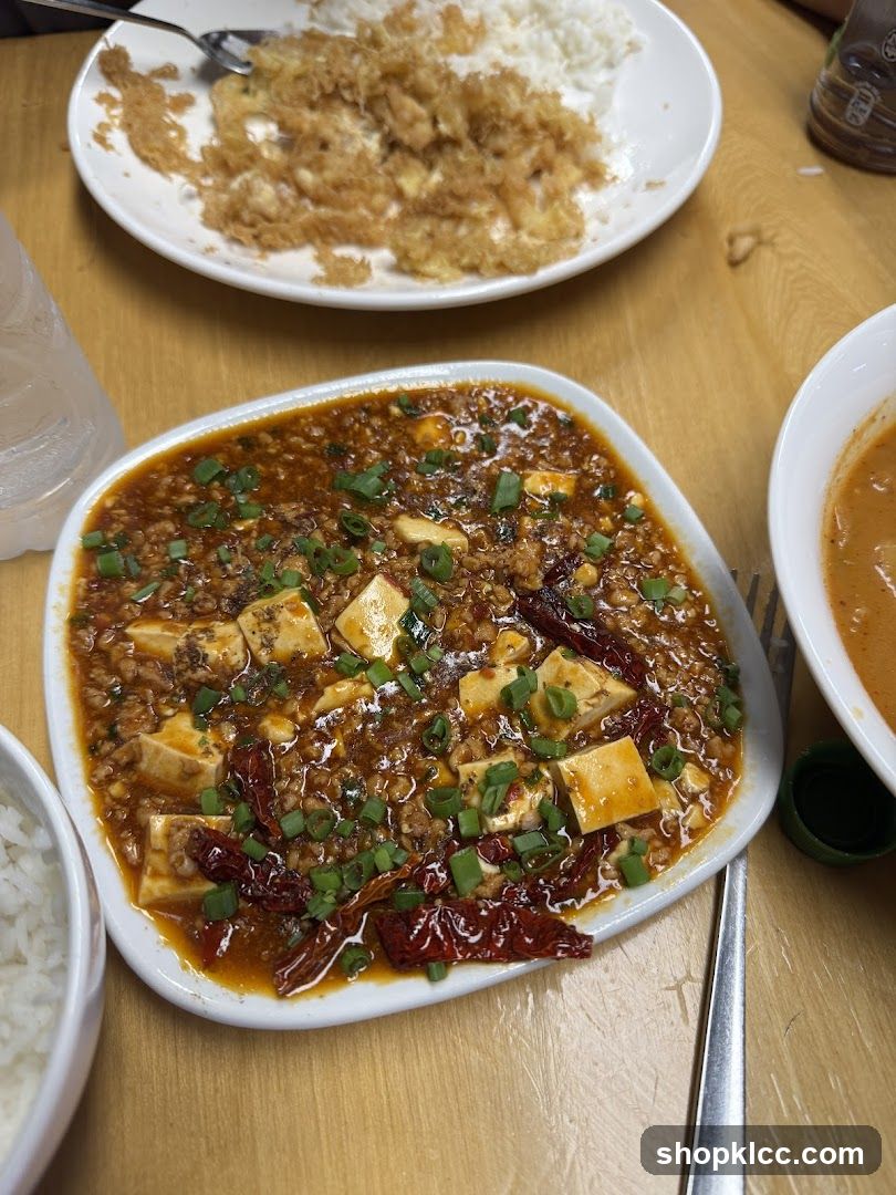 Mapo Tofu with Rice