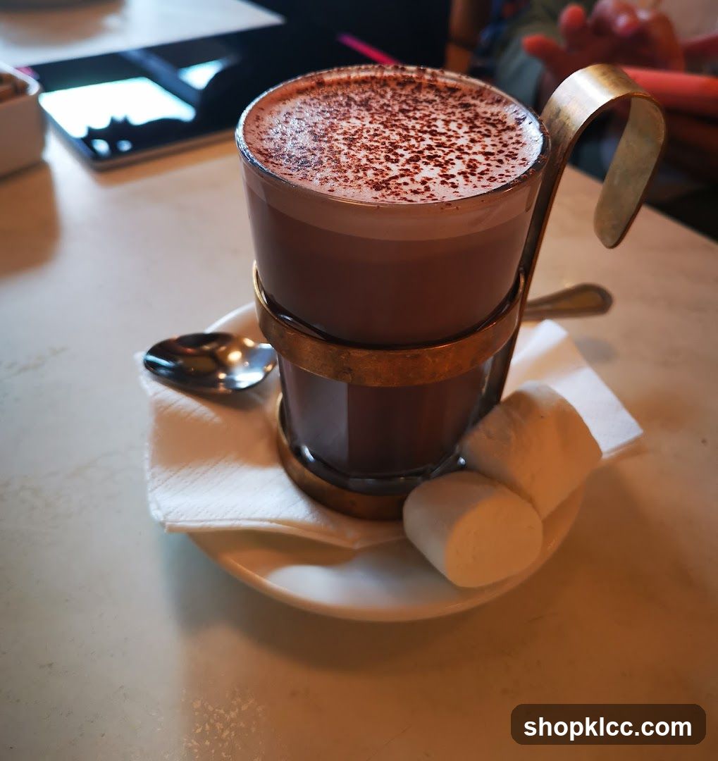 Hot Chocolate with Marshmallows