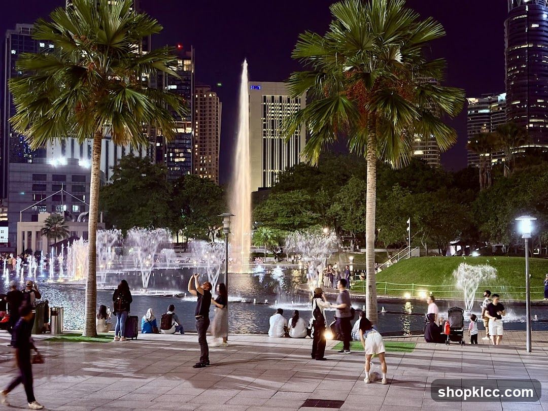 Nighttime Fountain Display in a City Park