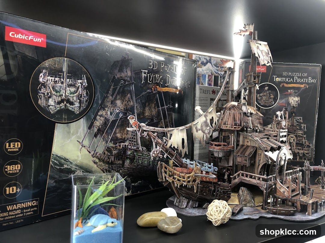 3D Pirate Ship Puzzles