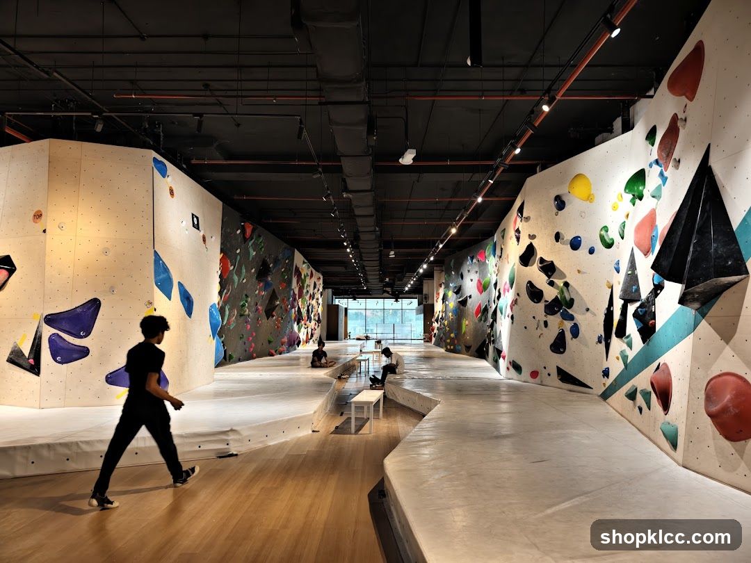 Indoor Climbing Gym