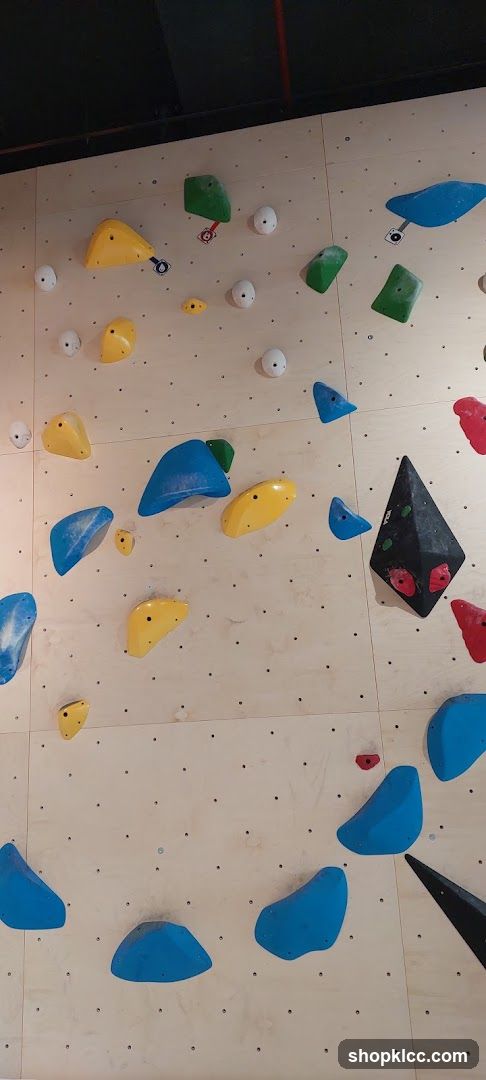 Climbing Wall Holds