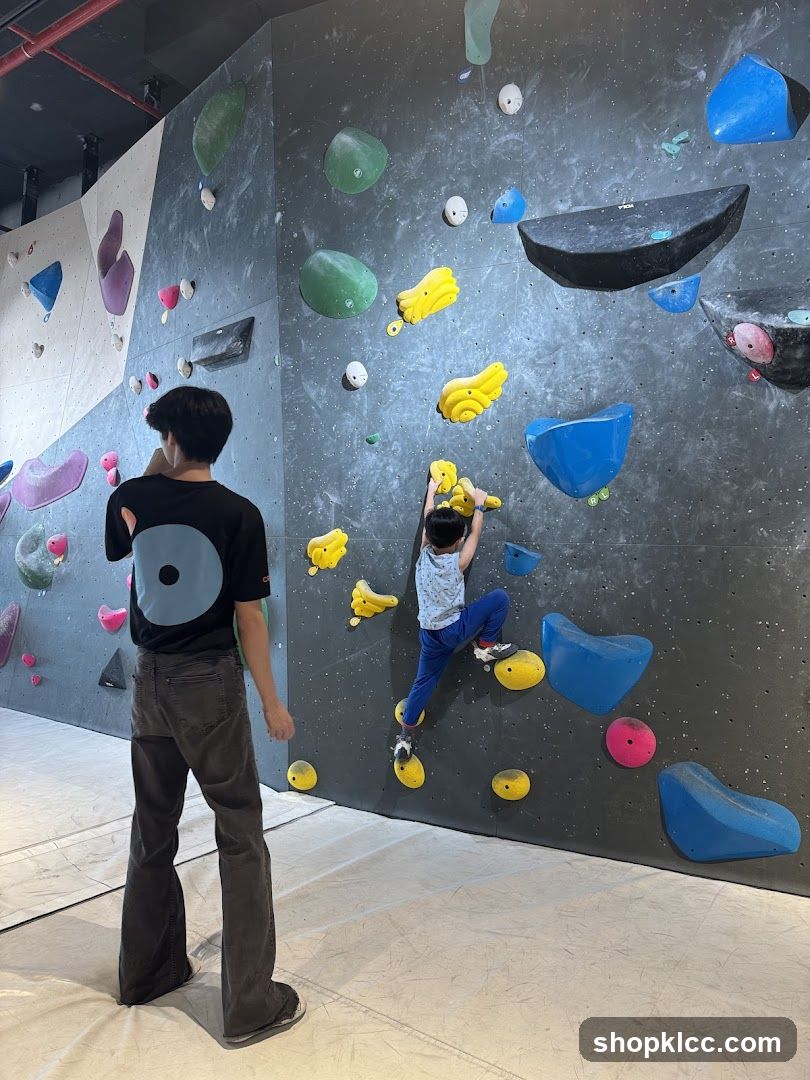 Climbing Wall