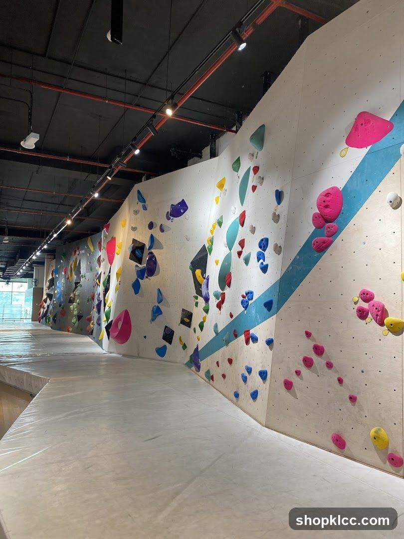 Indoor Climbing Gym