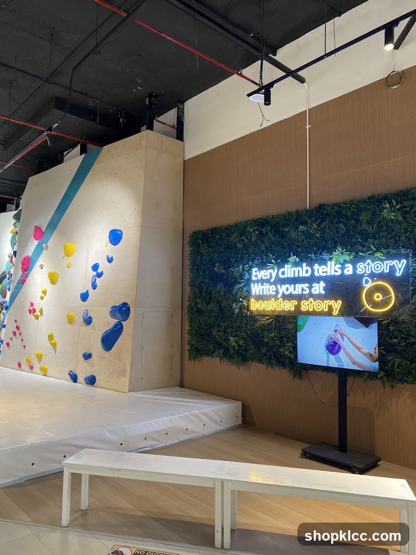 Indoor Climbing Wall