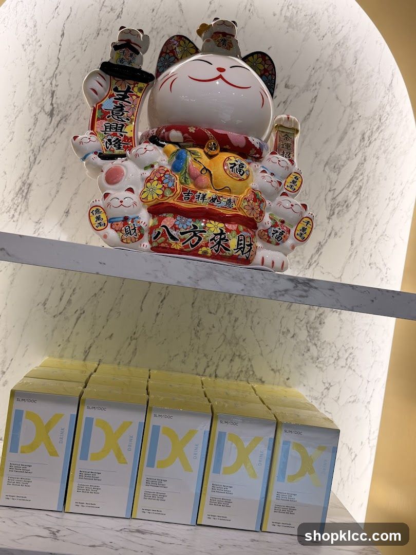 Maneki-neko and product boxes
