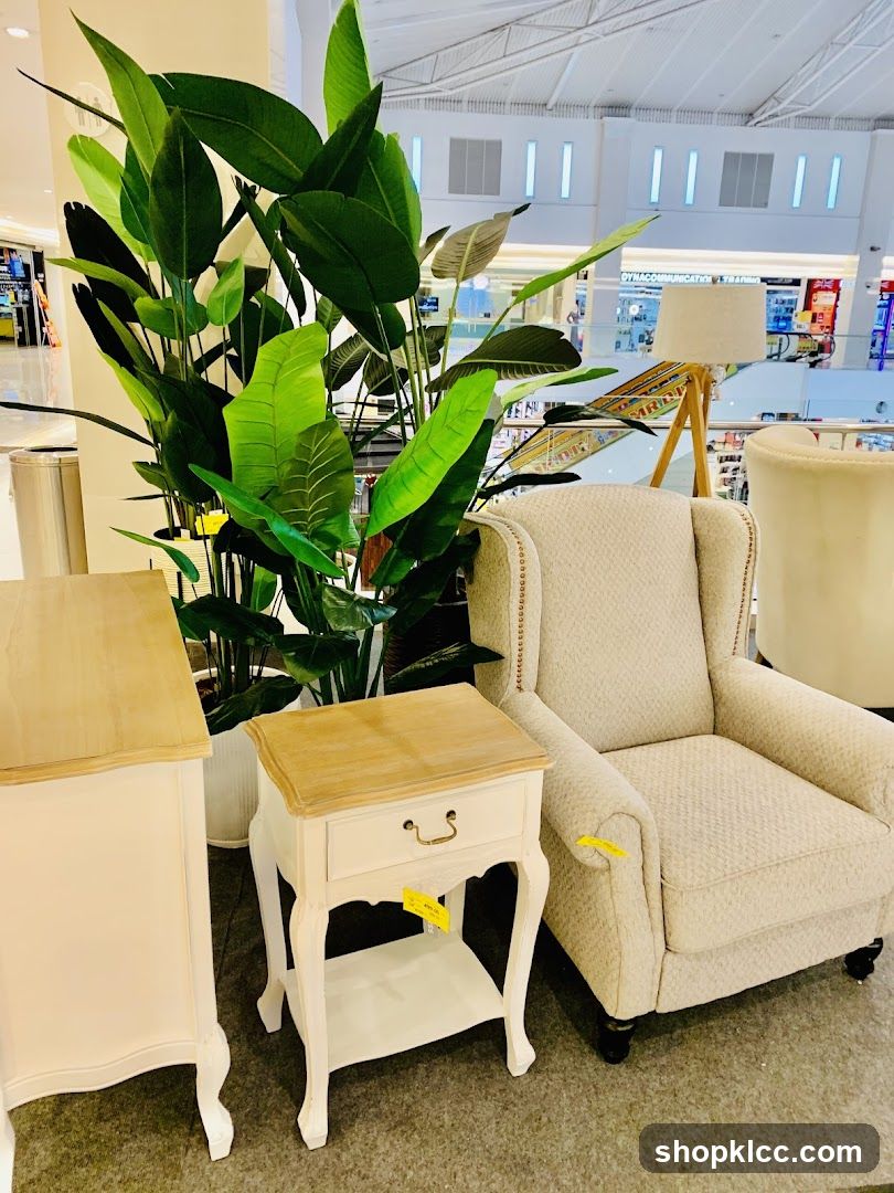 Furniture Display